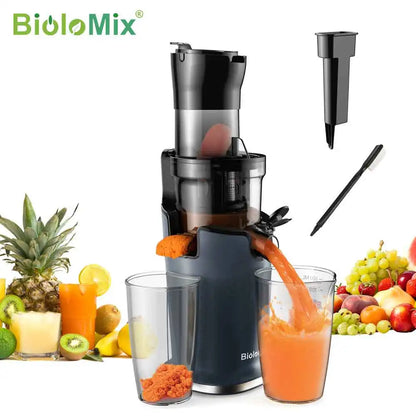 SJ-017 Wide-Chute Slow Juicer